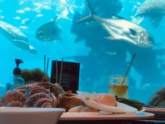-海棠湾洲际-涛·海底餐厅·美人鱼·自助餐·海底隧道