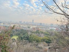 -亭林园-华藏寺