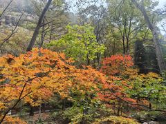 -丹东凤凰山景区