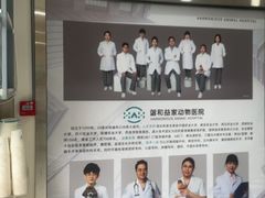 -谐和益家动物医院·免疫绝育·血液透析·宠保定点医院(高新伊藤分院)
