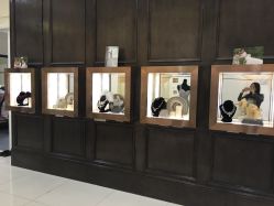 点击看大图 -南京宝娜嫁衣婚纱礼服馆(中央路店)
