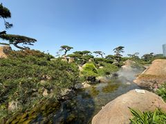 -罗红摄影艺术馆