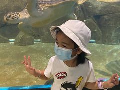 -福州罗源湾海洋世界旅游区