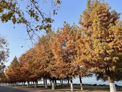 -苏州东太湖生态园
