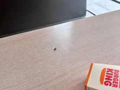 -汉堡王(保定万博广场店)