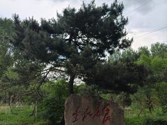 -黑龙江省森林植物园