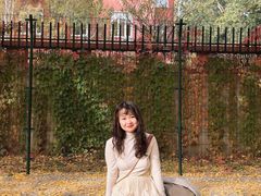 -三里屯东五街银杏大道