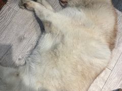 -小时光咖啡馆(北锣鼓巷店)