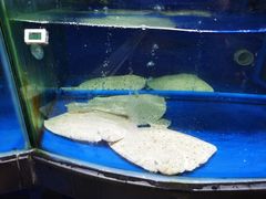 -果蔬好生活超市(东湖店)