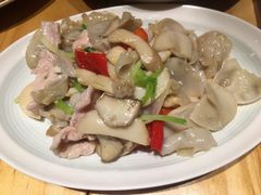 杏鲍菇竹耳爽肉片-十三式重庆江湖菜(金茂览秀城店)