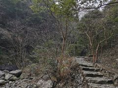 -宁波五龙潭景区