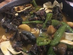 -猫头婴小酒馆FUN OWL(1912店)