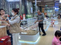 -小象动悟公园(龙湖亦庄天街店)