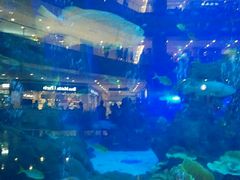 -成都浩海立方海洋公园