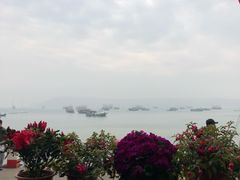 -七七家的糖水店(南湾街1号店)