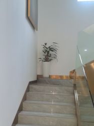 -漂亮妈妈通乳·塑形·产后恢复(奥体店)