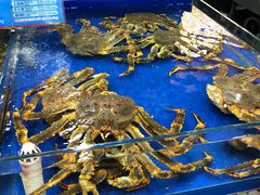 -东江海鲜酒家(艺都分店)
