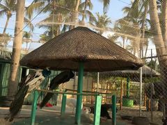 -三亚亚龙湾天域度假酒店