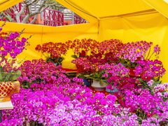 -文华公园(禅城区)