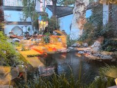 -鲤院·新中式美学·庭院餐厅(夫子庙店)