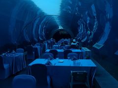 -海棠湾洲际-涛·海底餐厅·美人鱼·自助餐·海底隧道