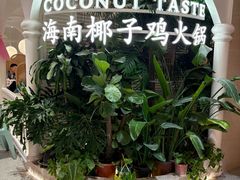 -椰子不语 椰子鸡火锅(淮海店)