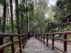 -水濂山森林公园