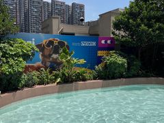 -帕帕拉兹宠物(亚洲旗舰店)