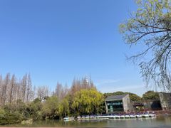 -上海滨江森林公园