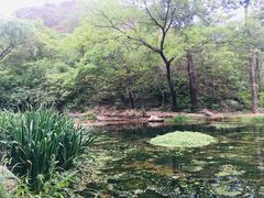 -白水寺森林公园
