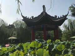 -渭南桃花源民俗文化园