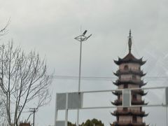 -南山湖公园