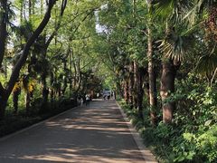 -同里国家湿地公园