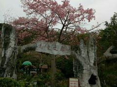 -珠海圆明新园