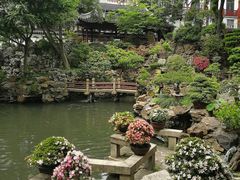 -豫园