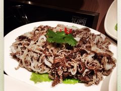 牛柏叶-协成海鲜火锅(情侣路店)