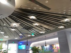 -雀蓝川菜(滨湖万象汇店)