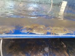 -阳澄湖大闸蟹·琼灵阁牌品牌连锁(吴中总店)
