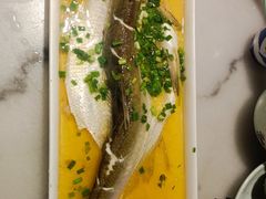 鸡汁蒸白鱼-京城小江南·北京烤鸭·江南土菜·白鱼(中关村店)