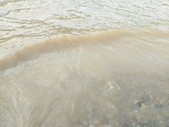 -清真老马家国华牛奶鸡蛋醪糟(正宁路店)