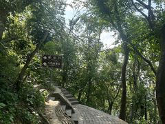 -紫金山山顶公园