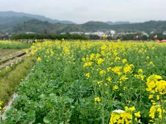 -古田会议纪念馆