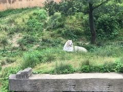 -宁波野生动物园