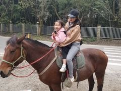 -铁山坪森林公园