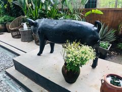 -云里小坐·小院里·团建·宴请·下午茶(三圣乡店)
