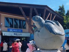 -广东惠东海龟国家级自然保护区