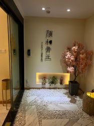 -颜和骨正·明哲式骨相美学整骨