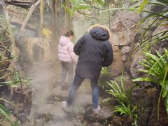 -南通洲际绿博园