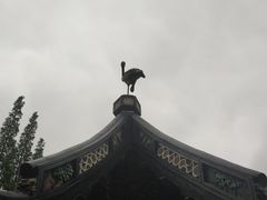 -上海醉白池公园