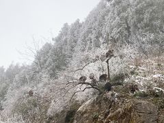 -太阳湾风景区
